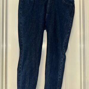 Lane Bryant Navy Blue Jeans